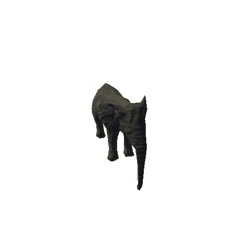 elephant_female_fv_rm_SLP (mat4)